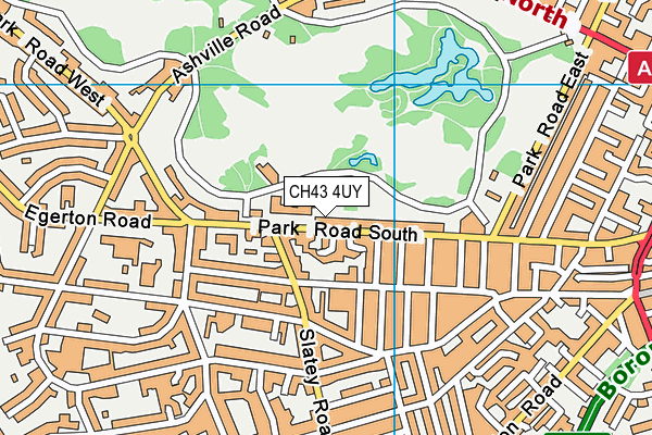 The Birkenhead Park School map (CH43 4UY) - OS VectorMap District (Ordnance Survey)
