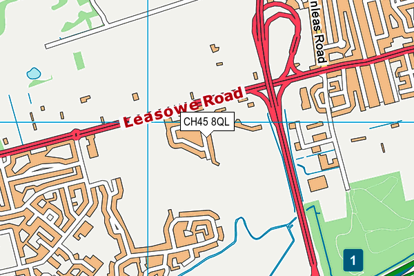 Leasowe Road Playing Field map (CH45 8QL) - OS VectorMap District (Ordnance Survey)