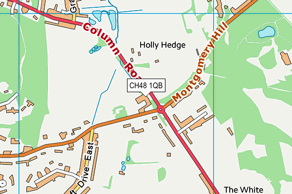 CH48 1QB map - OS VectorMap District (Ordnance Survey)