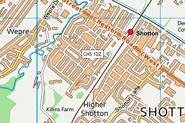 CH5 1DZ map - OS VectorMap District (Ordnance Survey)