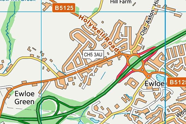 Ewloe Green C.P. School map (CH5 3AU) - OS VectorMap District (Ordnance Survey)