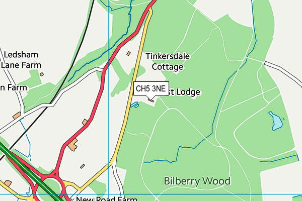 CH5 3NE map - OS VectorMap District (Ordnance Survey)