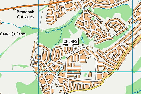 CH5 4PS map - OS VectorMap District (Ordnance Survey)