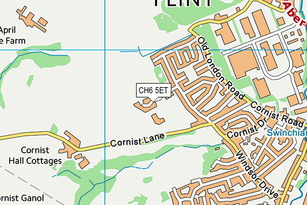 Cornist Park C.P. School map (CH6 5ET) - OS VectorMap District (Ordnance Survey)