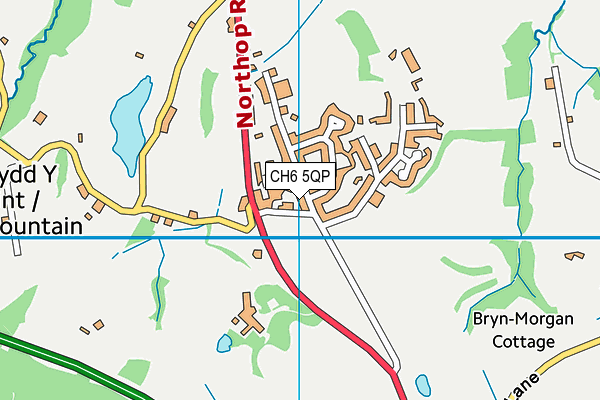 CH6 5QP map - OS VectorMap District (Ordnance Survey)