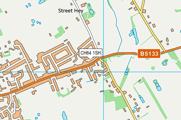 CH64 1SH map - OS VectorMap District (Ordnance Survey)