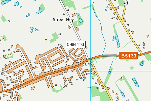 CH64 1TG map - OS VectorMap District (Ordnance Survey)