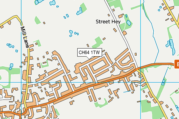 CH64 1TW map - OS VectorMap District (Ordnance Survey)