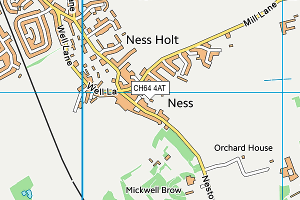 Ness Playing Fields map (CH64 4AT) - OS VectorMap District (Ordnance Survey)