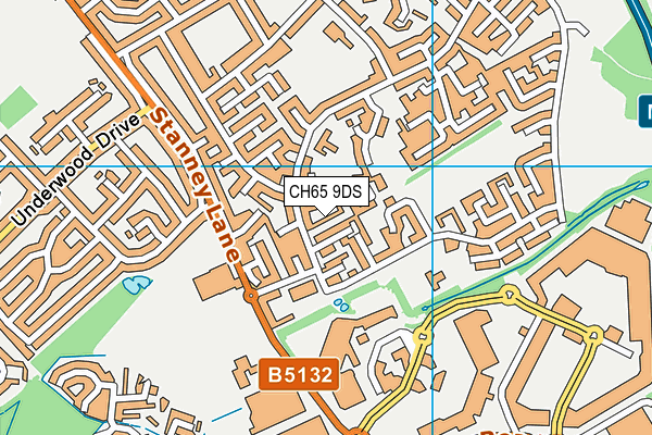 CH65 9DS map - OS VectorMap District (Ordnance Survey)