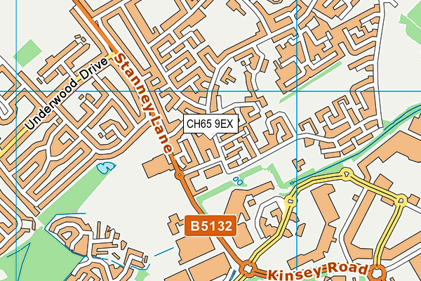 The Oaks Community Primary School map (CH65 9EX) - OS VectorMap District (Ordnance Survey)