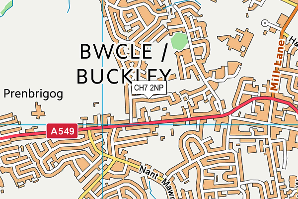 Buckley Southdown C.P. map (CH7 2NP) - OS VectorMap District (Ordnance Survey)