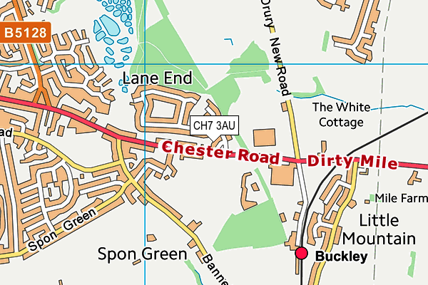 CH7 3AU map - OS VectorMap District (Ordnance Survey)