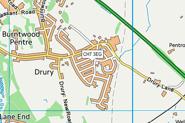 Drury C.P. School map (CH7 3EG) - OS VectorMap District (Ordnance Survey)