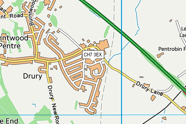 CH7 3EX map - OS VectorMap District (Ordnance Survey)