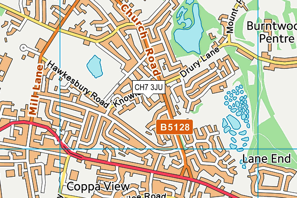 CH7 3JU map - OS VectorMap District (Ordnance Survey)