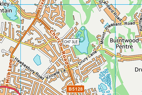 CH7 3LE map - OS VectorMap District (Ordnance Survey)