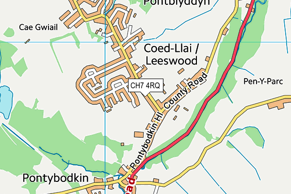 Ysgol Derwenfa map (CH7 4RQ) - OS VectorMap District (Ordnance Survey)