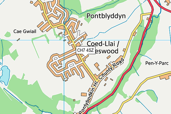 CH7 4SZ map - OS VectorMap District (Ordnance Survey)