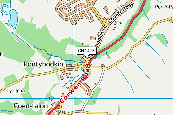 CH7 4TF map - OS VectorMap District (Ordnance Survey)