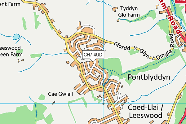 CH7 4UD map - OS VectorMap District (Ordnance Survey)