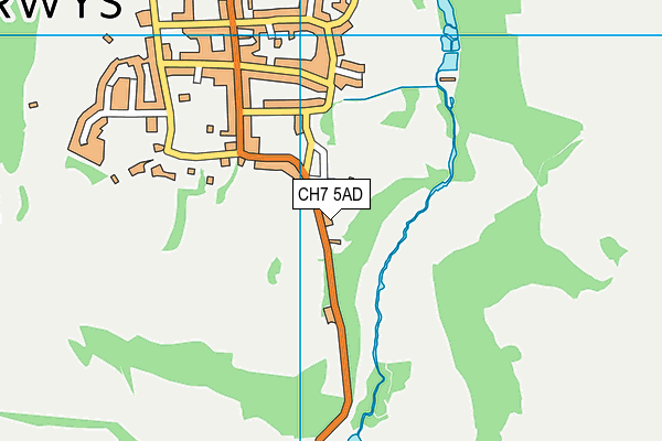 Ysgol Yr Esgob map (CH7 5AD) - OS VectorMap District (Ordnance Survey)