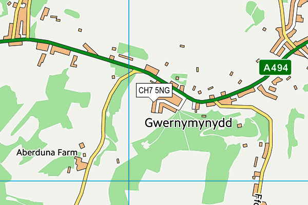 CH7 5NG map - OS VectorMap District (Ordnance Survey)