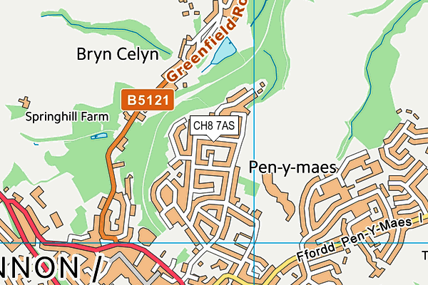 CH8 7AS map - OS VectorMap District (Ordnance Survey)