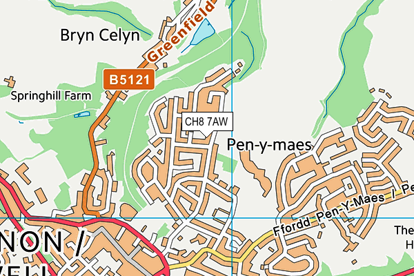 Ysgol Treffynnon map (CH8 7AW) - OS VectorMap District (Ordnance Survey)