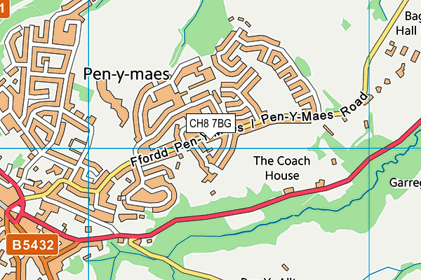 CH8 7BG map - OS VectorMap District (Ordnance Survey)