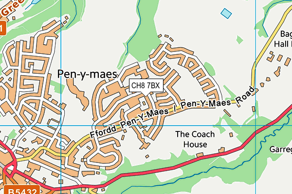 CH8 7BX map - OS VectorMap District (Ordnance Survey)