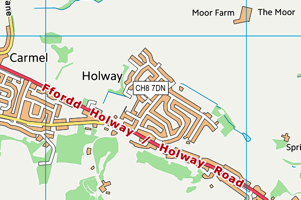 CH8 7DN map - OS VectorMap District (Ordnance Survey)