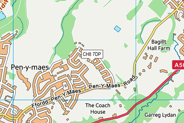 CH8 7DP map - OS VectorMap District (Ordnance Survey)