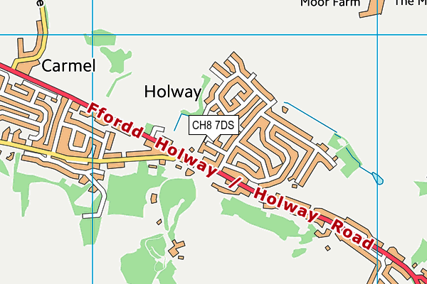 CH8 7DS map - OS VectorMap District (Ordnance Survey)