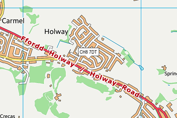 CH8 7DT map - OS VectorMap District (Ordnance Survey)