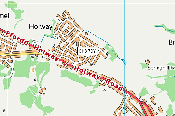 CH8 7DY map - OS VectorMap District (Ordnance Survey)