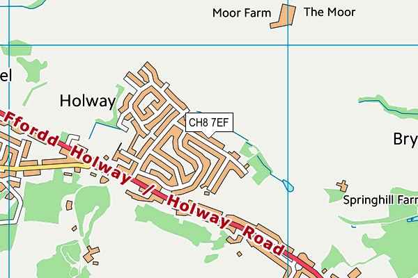 CH8 7EF map - OS VectorMap District (Ordnance Survey)