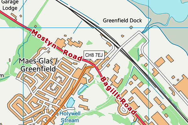 CH8 7EJ map - OS VectorMap District (Ordnance Survey)