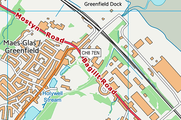 Ysgol Maes-Y-Felin map (CH8 7EN) - OS VectorMap District (Ordnance Survey)