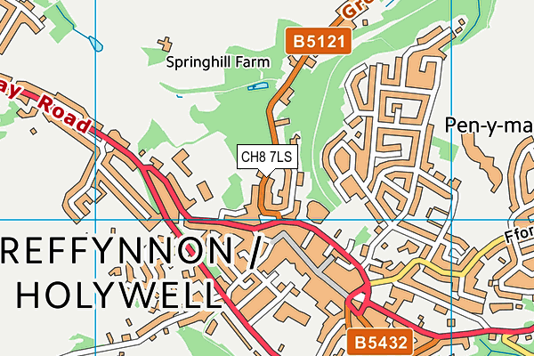 CH8 7LS map - OS VectorMap District (Ordnance Survey)