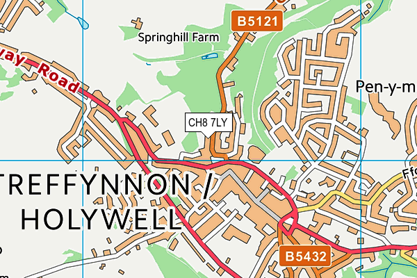 CH8 7LY map - OS VectorMap District (Ordnance Survey)