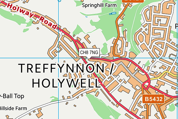 CH8 7NG map - OS VectorMap District (Ordnance Survey)