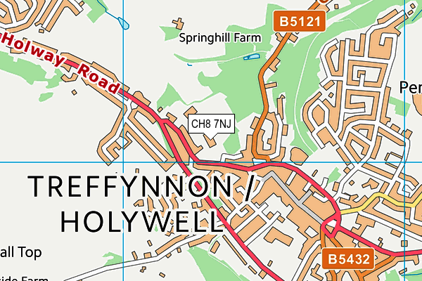 Ysgol Gwenffrwd map (CH8 7NJ) - OS VectorMap District (Ordnance Survey)