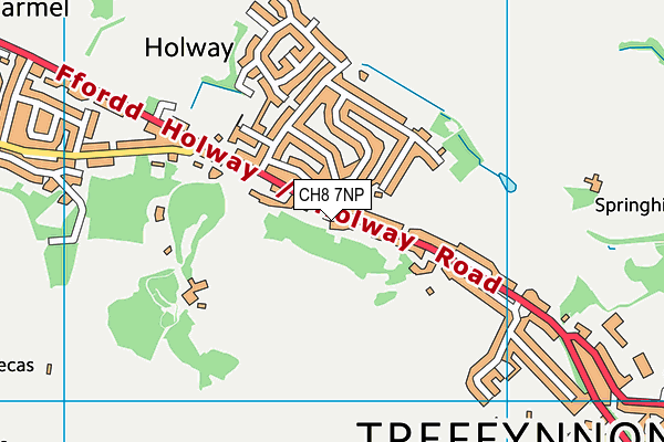 CH8 7NP map - OS VectorMap District (Ordnance Survey)