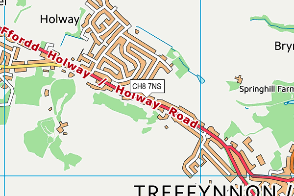 CH8 7NS map - OS VectorMap District (Ordnance Survey)