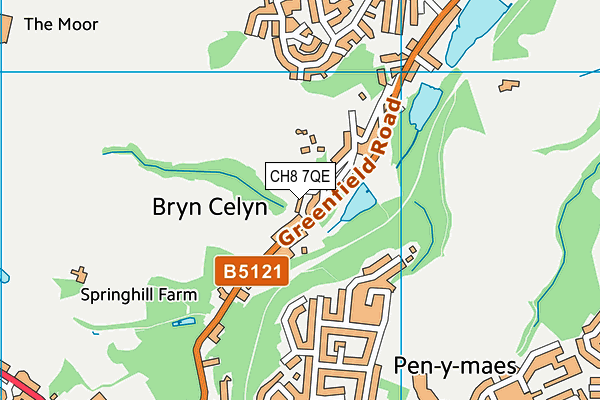 CH8 7QE map - OS VectorMap District (Ordnance Survey)