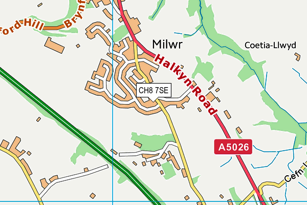 CH8 7SE map - OS VectorMap District (Ordnance Survey)