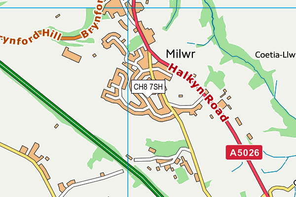 CH8 7SH map - OS VectorMap District (Ordnance Survey)