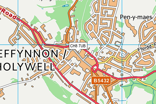 CH8 7UB map - OS VectorMap District (Ordnance Survey)