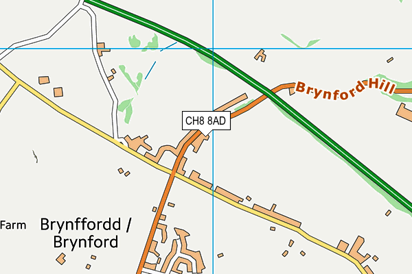 Brynford C.P. School map (CH8 8AD) - OS VectorMap District (Ordnance Survey)